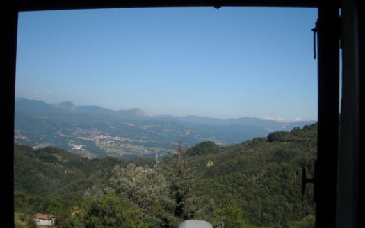 Molazzana Reference: 3062