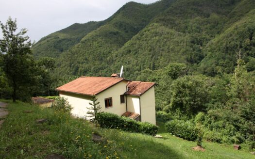 Barga Reference: 3401