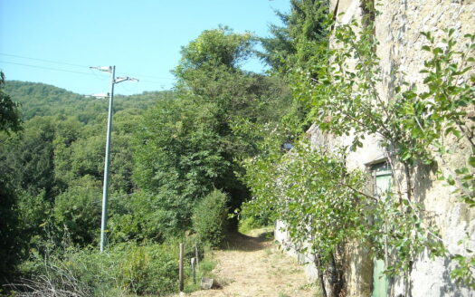 Gallicano Reference: 4176