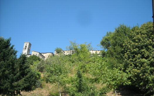 Gallicano Reference: 4176