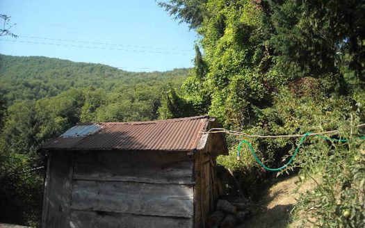 Gallicano Reference: 4176