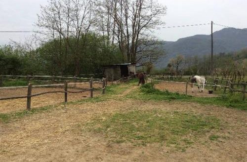 Gallicano Reference: 4033