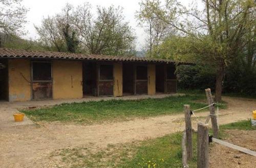 Gallicano Reference: 4033