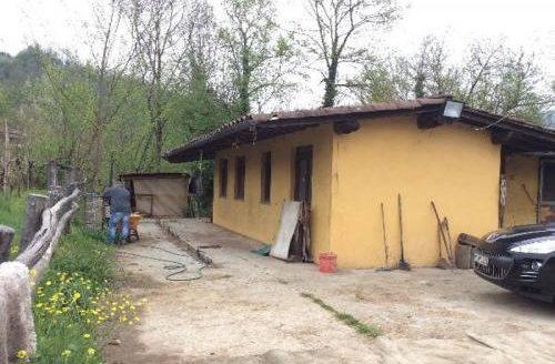 Gallicano Reference: 4033