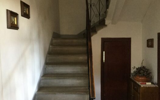 Fosciandora Ref: 4750