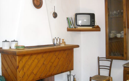 Molazzana Reference: 3652