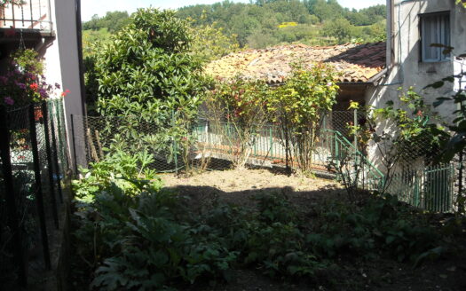 Molazzana Reference: 3652