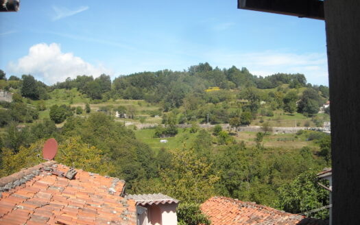 Molazzana Reference: 3652