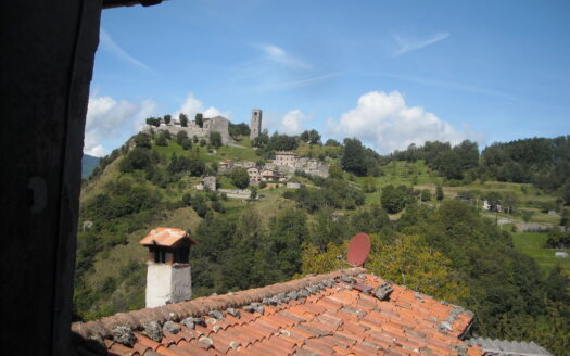 Molazzana Reference: 3652