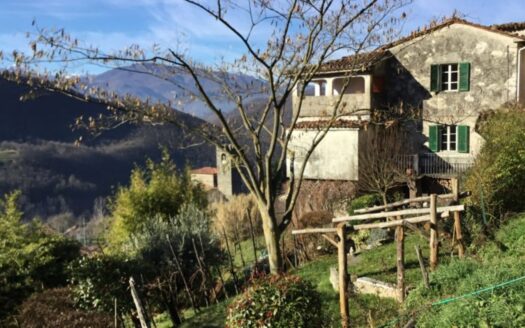 Fosciandora Ref: 4923