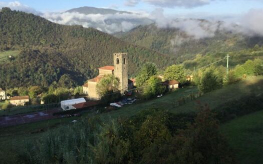 Fosciandora Ref: 4923