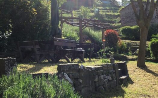 Fosciandora Ref: 4923