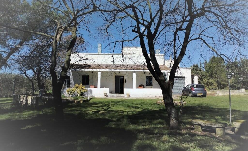 video image