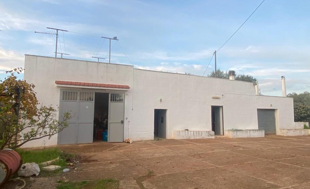 video image