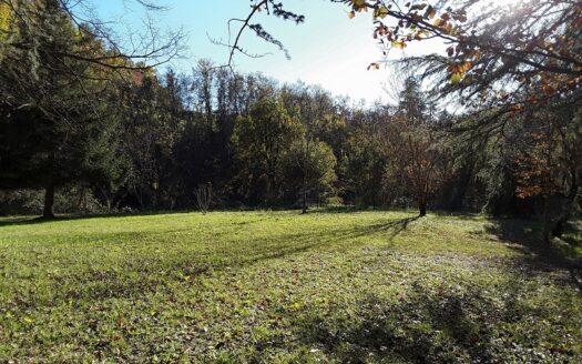 Pratovecchio Ref: 5139