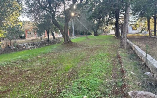 San Vito dei Normanni Ref: 5270