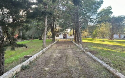 San Vito dei Normanni Ref: 5270