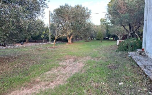 San Vito dei Normanni Ref: 5270