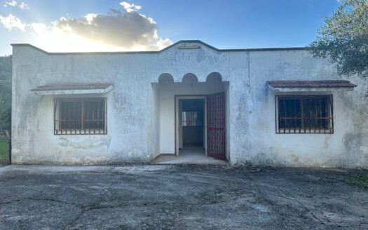 San Vito dei Normanni Ref: 5270