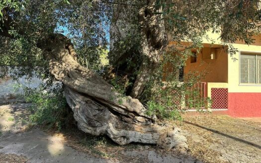 San Vito dei Normanni Ref: 5271D