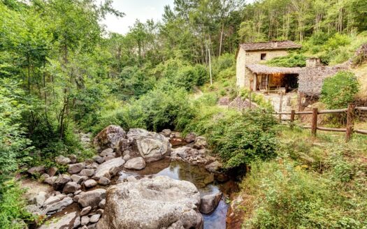 Ortignano Raggiolo Ref: 5291