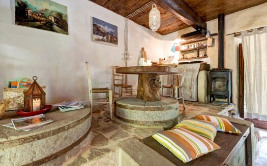 Ortignano Raggiolo Ref: 5291