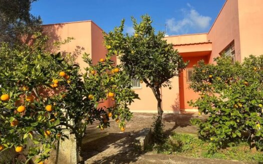 San Vito dei Normanni Ref: 5299D