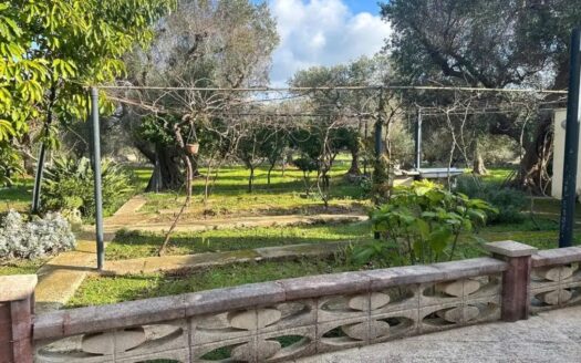 San Vito dei Normanni Ref: 5299D