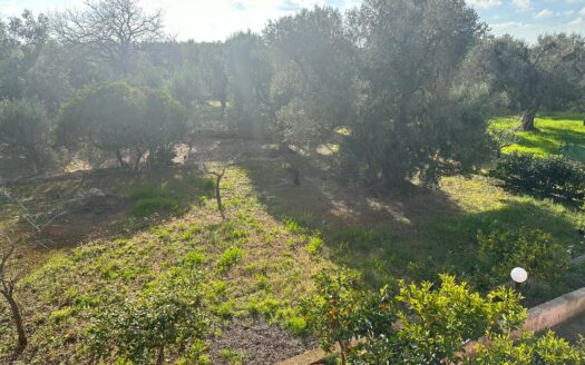 San Vito dei Normanni Ref: 5299D