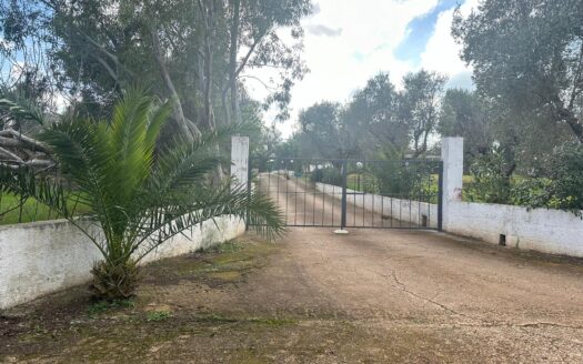 San Vito dei Normanni Ref: 5299D