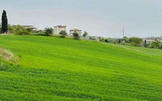 Maltignano Ref: 5315