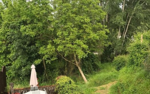 Borgo a Mozzano Ref: 5376