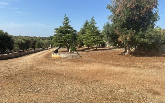 Carovigno Ref: 5387D