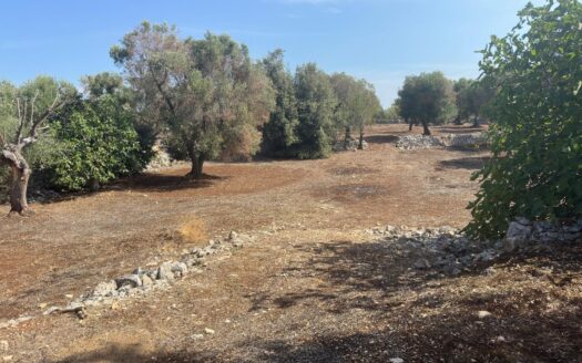 Carovigno Ref: 5387D