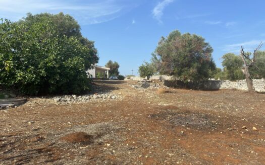 Carovigno Ref: 5387D