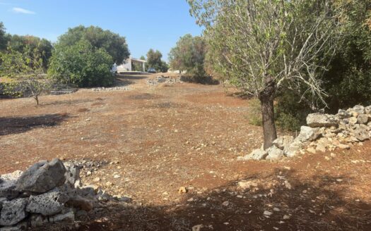 Carovigno Ref: 5387D