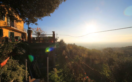 Lamporecchio Collinare Ref: 5434A