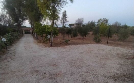 San Vito dei Normanni Ref: 5412