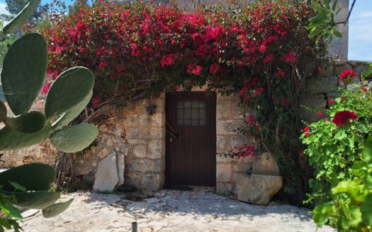 San Vito dei Normanni Ref: 5412