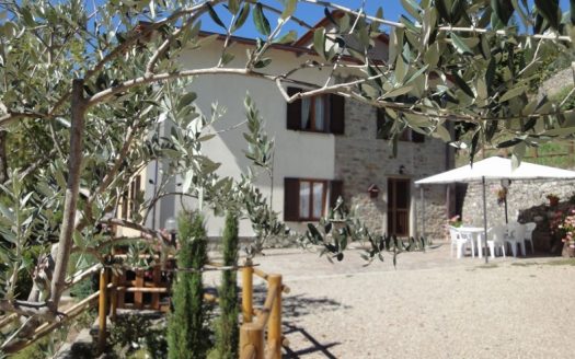 Ortignano Raggiolo Ref: 4885