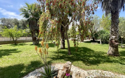 San Vito dei Normanni Ref: 5492