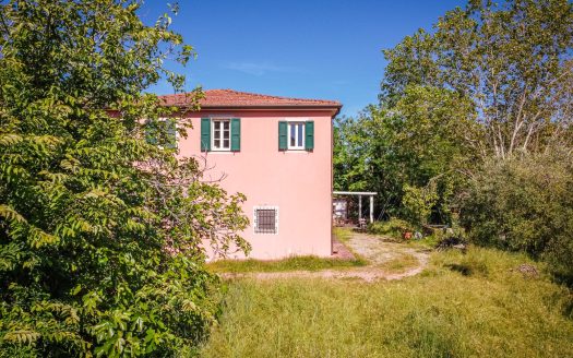 Casciana Terme Ref: 5503