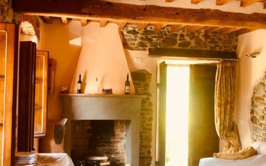 Borgo a Mozzano Ref: 5519