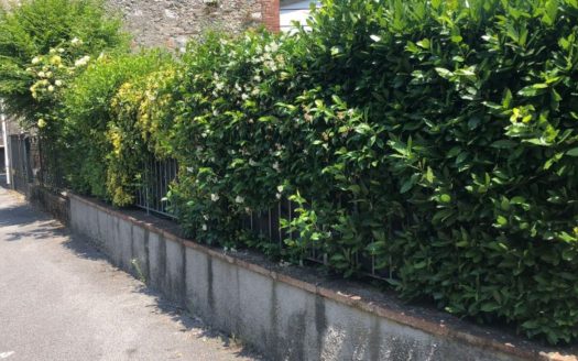 Borgo a Mozzano Ref: 5519