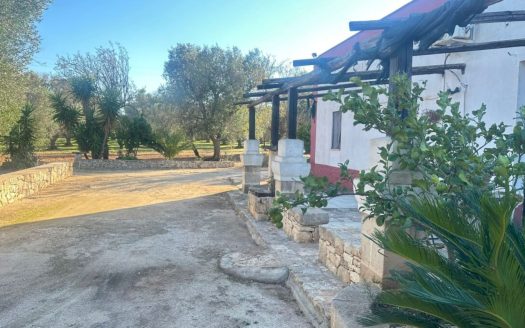 San Vito dei Normanni Ref: 5538