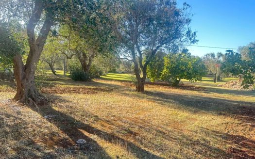 San Vito dei Normanni Ref: 5538