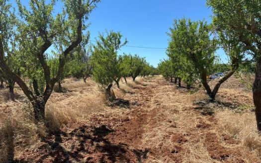 San Vito dei Normanni Ref: 5540