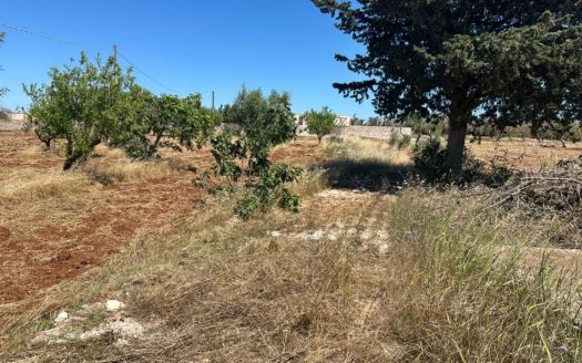 San Vito dei Normanni Ref: 5540