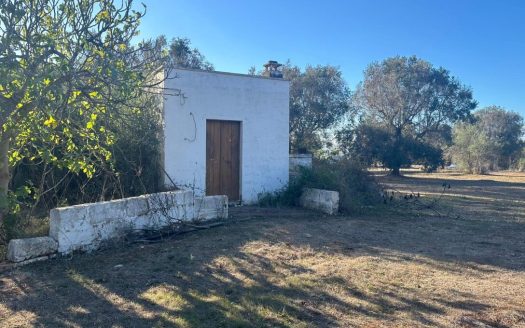 San Vito dei Normanni ref: 5553