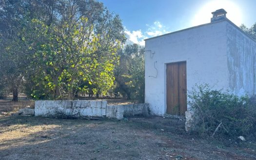 San Vito dei Normanni ref: 5553